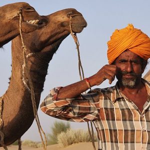 camel safari jaisalmer, camel man jaisalmer, camel safari india, rajasthan camels