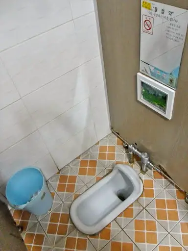 asian squat toilet