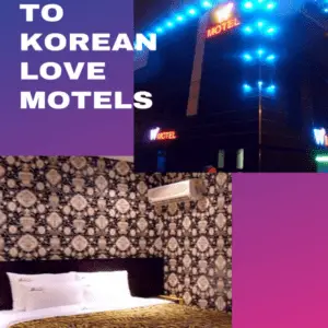cropped-A-guide-to-love-motels.png
