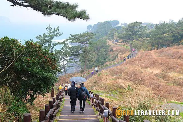 Olle trails in Jeju, hiking in korea, hiking in jeju, hiking trails jeju island sightseeing map, what to do in jeju island, what to see in jeju
