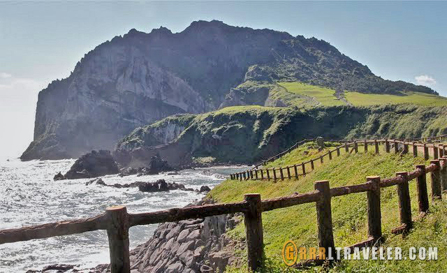 Sunrise peak jeju island, olle trail jeju island