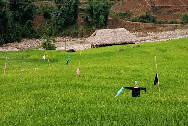 vietnam rice fields, homestay vietnam, tavan village homestay bedding, trekking accomodations sapa valley, sapa valley trekking, trekking sapa, trekking in vietnam, trekking tours vietnam, sapa homestay, tavaan village homestay, hmong village sapa valley
