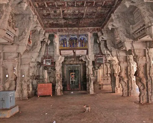 monkey temple india
