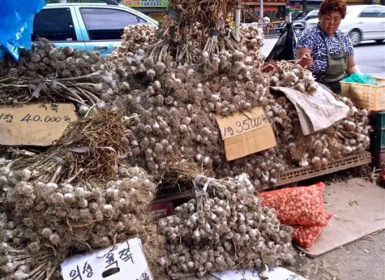scary asian foods, seaweed seller, traditional markets in korea