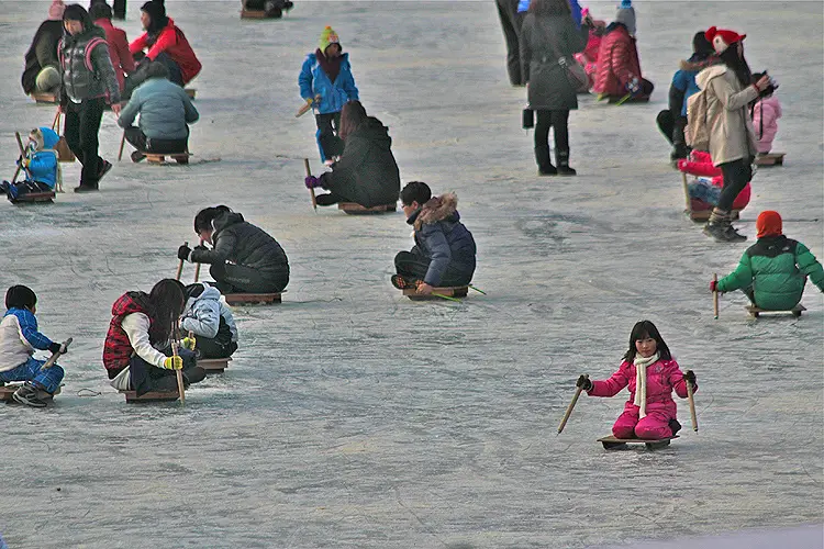 korean sledding