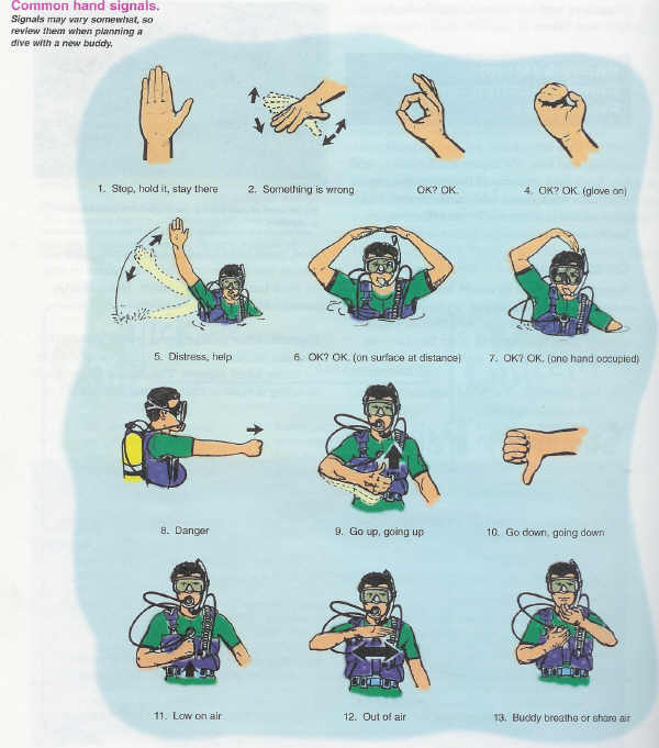 dive hand signals