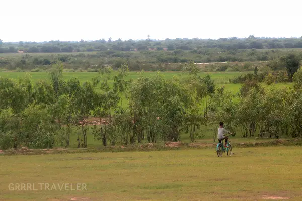 Cambodian fields