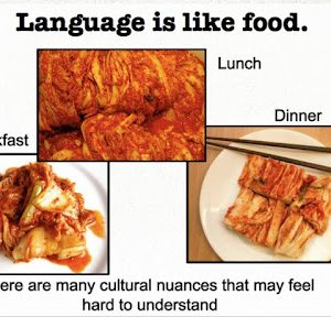 dealing with language barriers living abroad