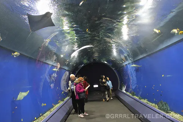 osaka aquarium japan