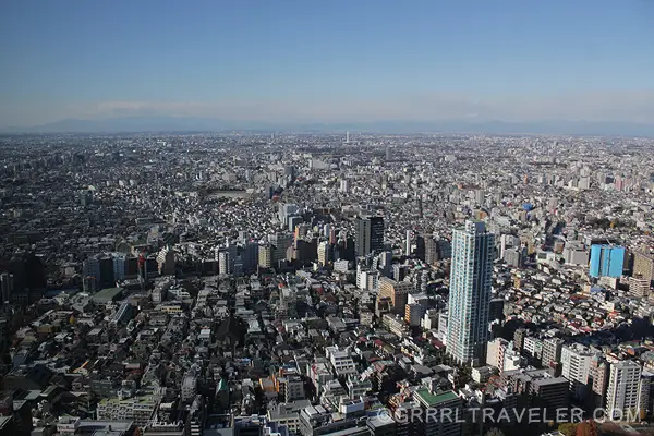  A view Tokyo from the Tokyo Metropolitan Government Building