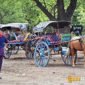 horse carriages bagan