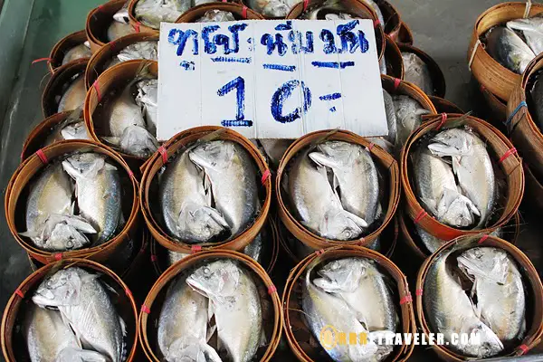 fish merchant, fish thailand, fishing thailand, markets in thailand