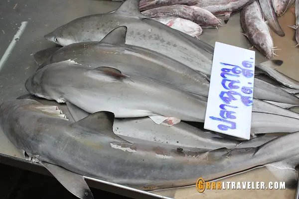 maeklong train market thailand, shark market seller