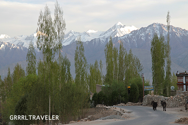 ladakh landscape, photos of ladakh, photo essay of ladakh