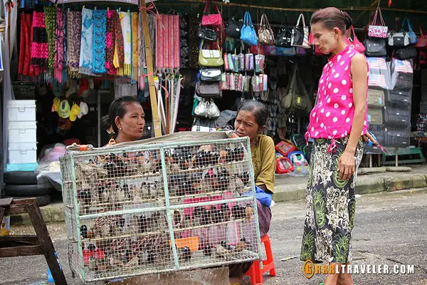 caged birds set free myanmar, buddhist practice set free birds, bird sellers in southeast asia