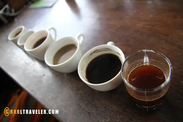 balinese coffee, kopi luwak, expensive coffee in bali, expensive poop coffee