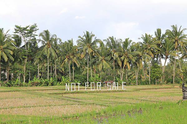 bali sightseeing, bali countryside,