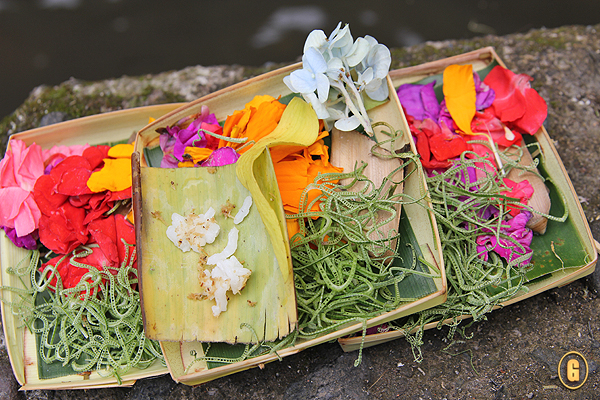 offerings ubud