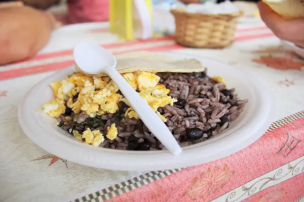 Gallo Pinto Costa Rica, must try foods costa rica, must try costa rican foods, costa rican dishes, costa rica vegetarian dishes, must try foods around the world