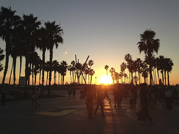 venice beach, venice beach california