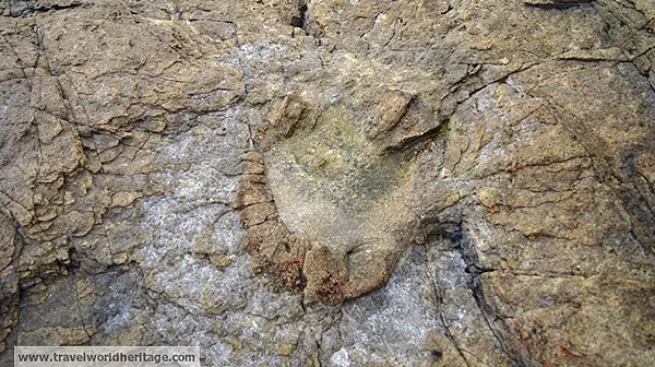 Dinosaur Footprint Sa-do