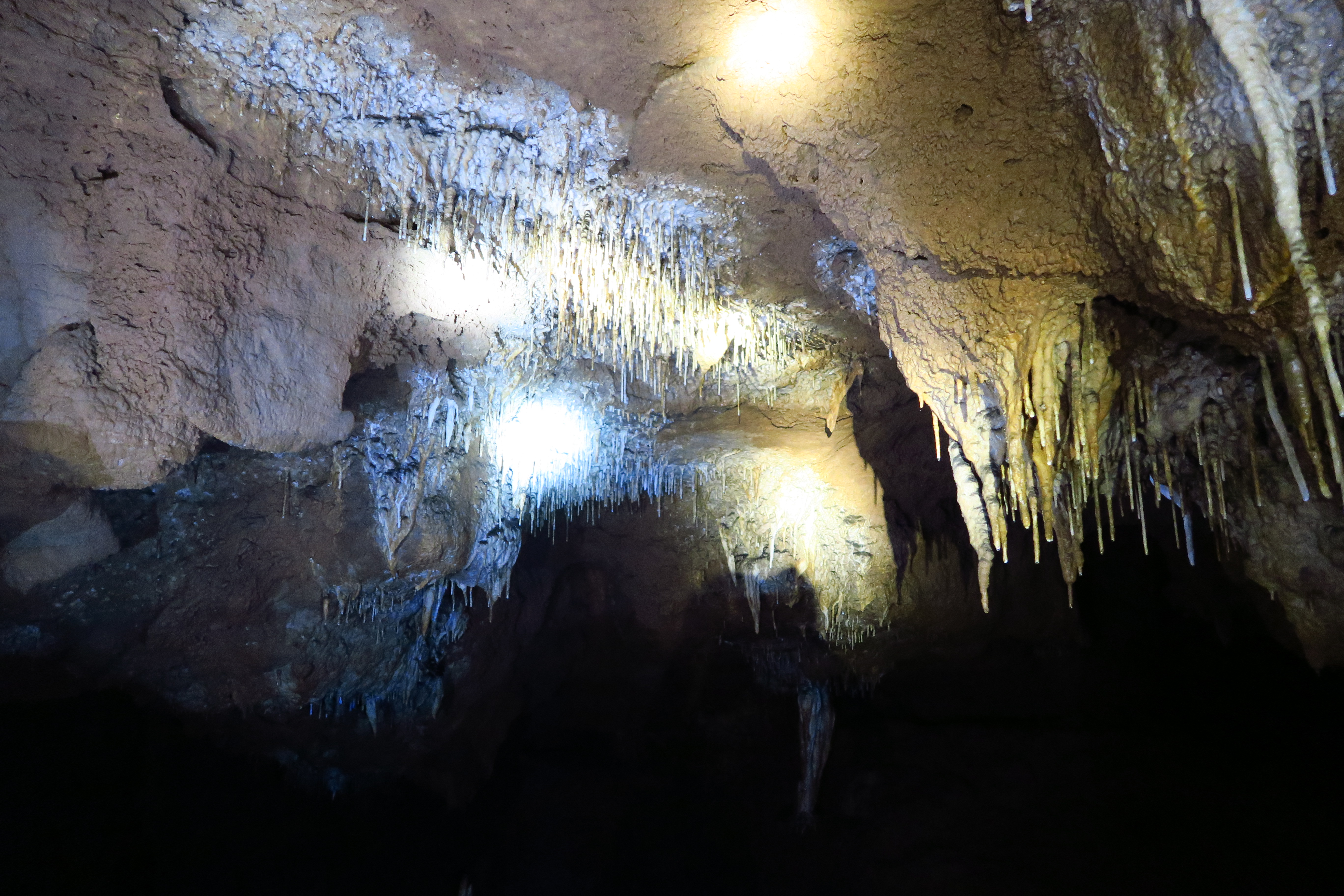 silk worms, silkworms, caving in thailand