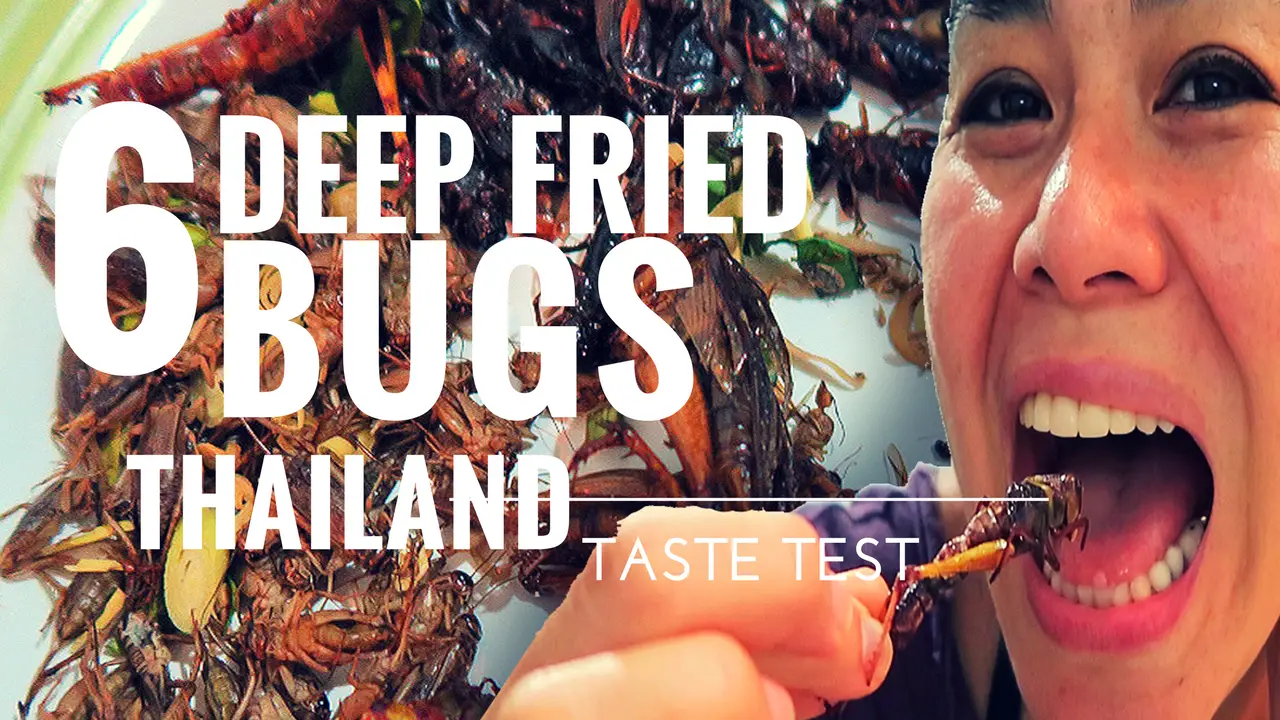 deep fried bug taste test thailand