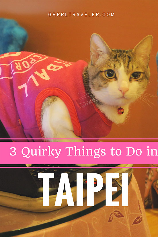 quirky things to do taipei, taipei attractions