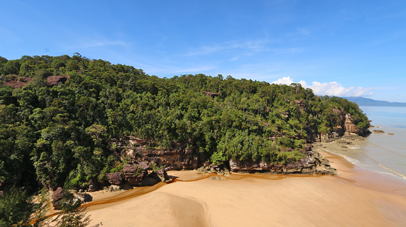 mangroves, hiking at bako, bako national park, hiking trails borneo, bako national park beach