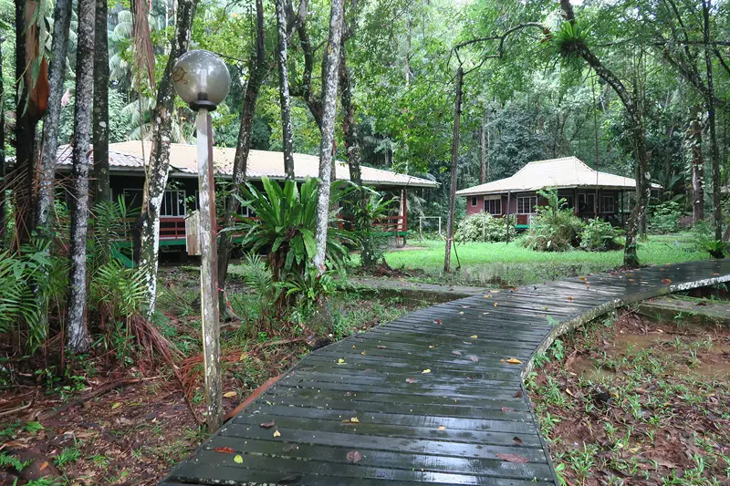 Bako National Park, Bako National Park accommodations, what to do in kuching, what to do in sarawak