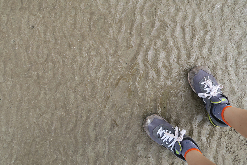 low tide photos of bako national park