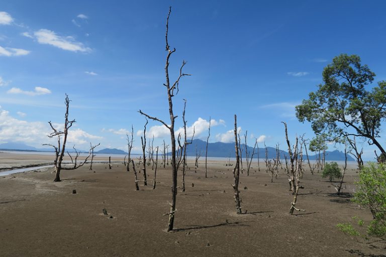 Bako National park attractions, bako park geography