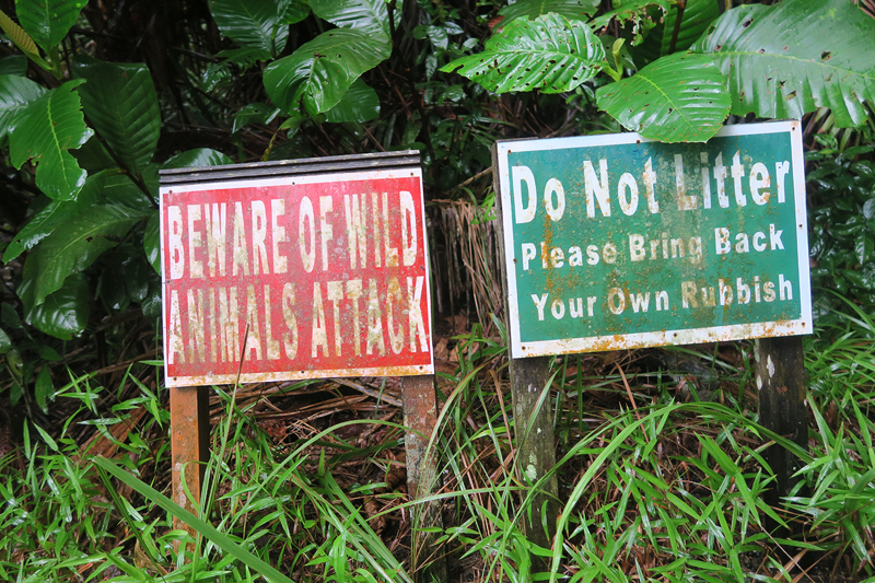 bako national park wildlife