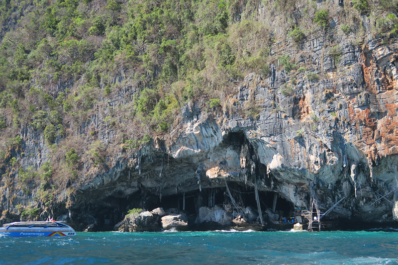 viking cave, ko phi phi tour