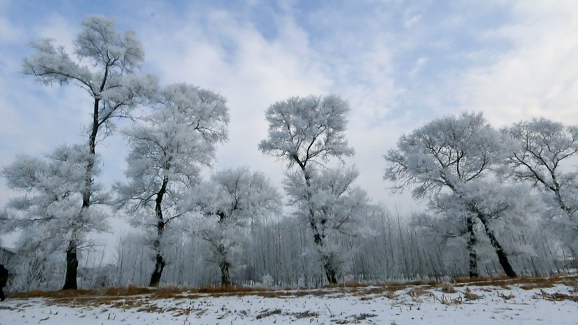 woosong island, rimes jilin, jilin winter wonderland, jilin festival