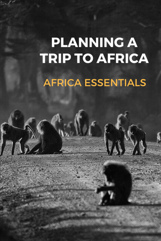 Planning a Trip to Africa Africa Essentials 2 e1499672961171