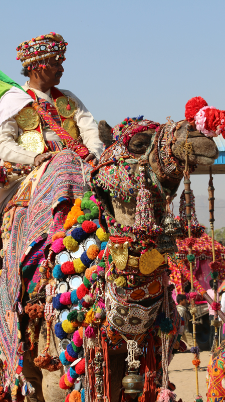 Pushkar Camel Fair Mela Grounds, camel decorating pushkar