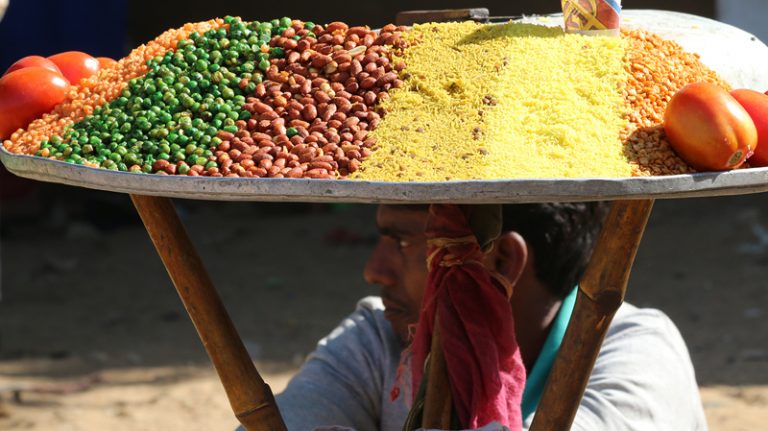 pushkar camel fair, pushkar camel festival, camel fair pushkar, camel festival, camel fair india