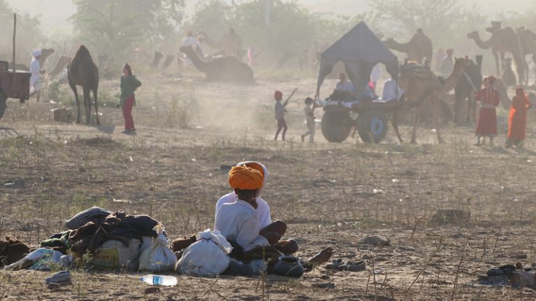 pushkar camel fair, pushkar camel festival, camel fair pushkar, camel festival, camel fair india