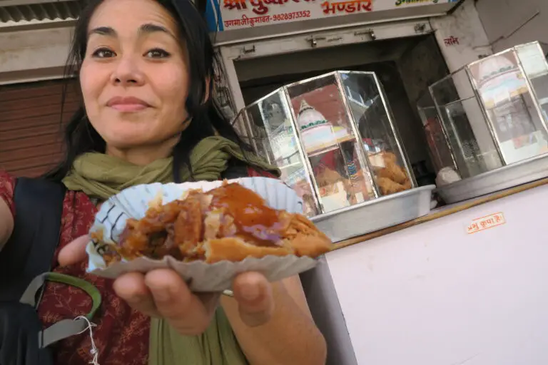 pushkar food indian samosa