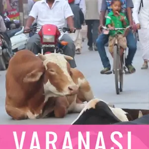 Varanasi Culture Shock, Varanasi Arrival Tips