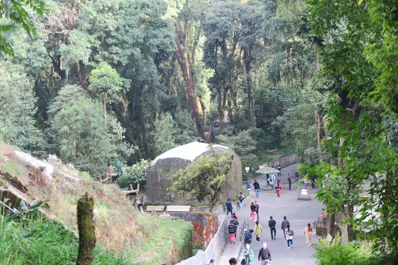 darjeeling zoological park, darjeeling zoo