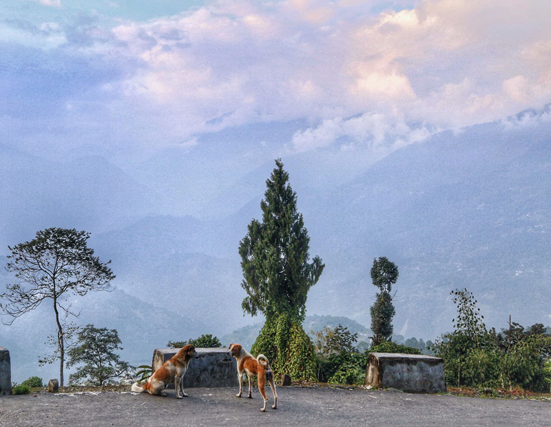 Pelling sikkim, sikkim india