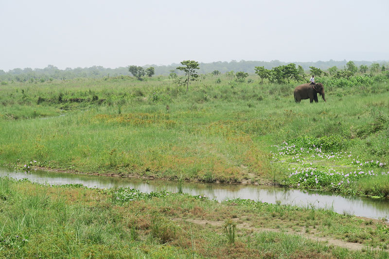 Meghauli Serai view