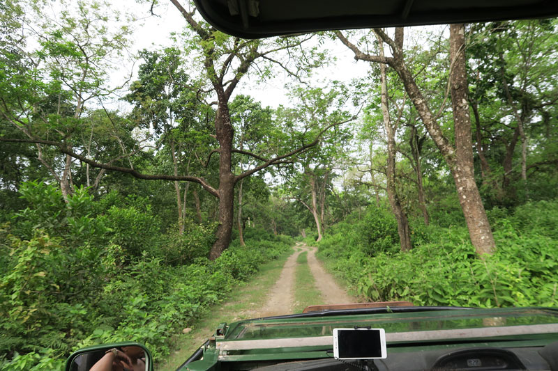 Jeep safari drives