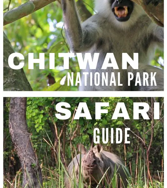 chitwan national park safari guide