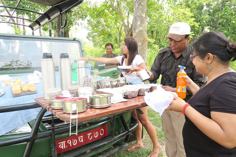 meghauli serai safari picnic