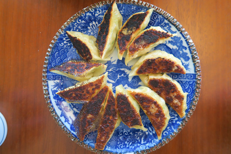 japanese gyoza 2