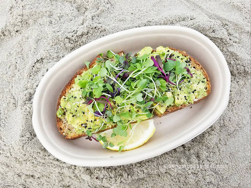 avocado toast, best foods to eat in san diego