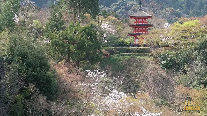 kiyomizu dera temple, best sakura spots in kyoto